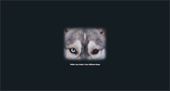 Desktop Screenshot of husky-team.de